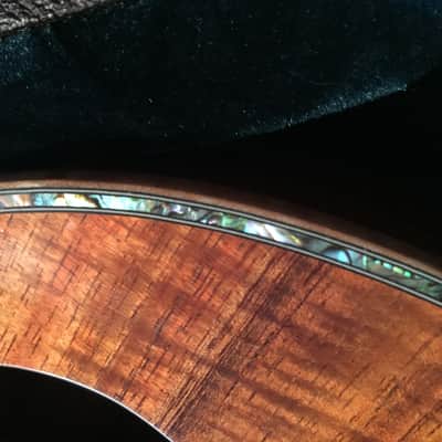 TACOMA THUNDERCHIEF ACCOUSTIC BASS image 9