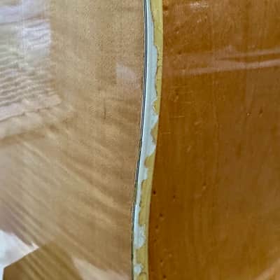 1973 Guild D-44M Solid Maple, Fresh Neck Reset, Bob Colosi Equipped image 21