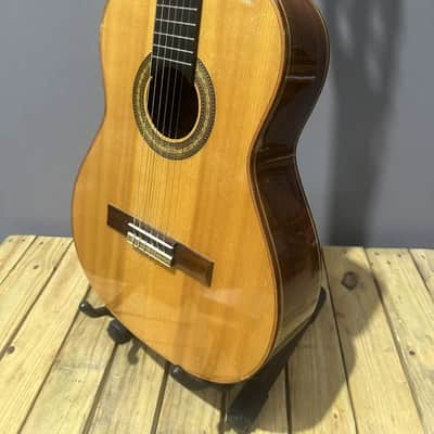 Acoustic Gianni Series Classica Savio 1994 image 8