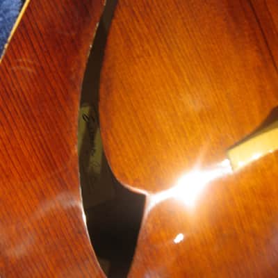 Eastman PG1 Pagelli Signature 17in Archtop Electric Guitar 2012 Sunburst image 4