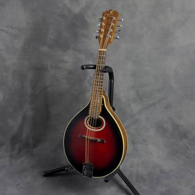 J. Reynolds JRMAN20 A-Style Mandolin image 6