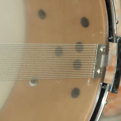 Pearl MLX All Maple Shell 14x6.5 Japan image 13