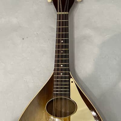 Harmony H8031 oval hole flat back mandolin 1972 - Sunburst image 4