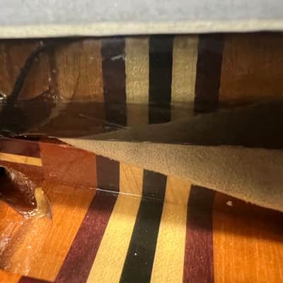 ALEMBIC MJLB5F Signature Standard 2010 image 21