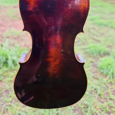 Immagine Giuseppe Petrazzini Cello 1890's Italian Labeled - 4