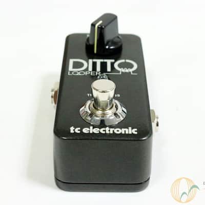 tc electronic DITTO LOOPER image 6