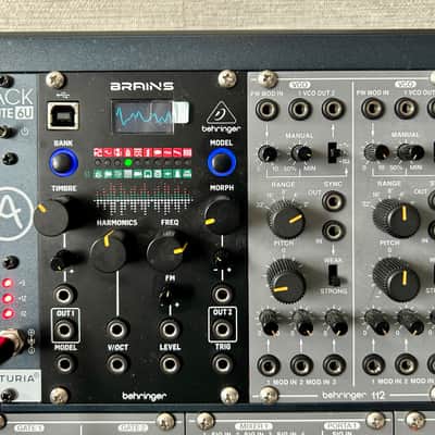 Behringer System 100 and Brains in Rackbrute Case image 6