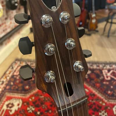 Shergold Masquerader Classic SM03-SD Thru-Black image 5