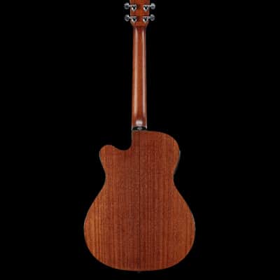 Alvarez AF66CESHB Acoustic Guitar image 4