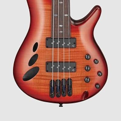 Ibanez SRD900 FBTL Bass Workshop Fretless Electric Bass. Brown Topaz Burst Low Gloss image 1