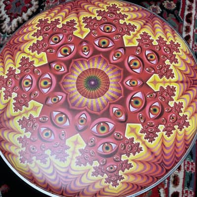 Evans Danny Carey / TOOL Fear Inoculum "Tondo"  22”x2 double Bass Drum Head Set image 3