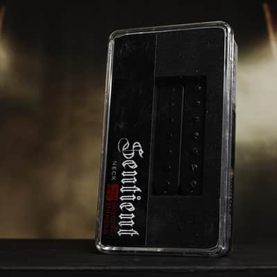 Seymour Duncan Sentient 7 String Neck Humbucker Passive Mount Uncovered BLACK image 1