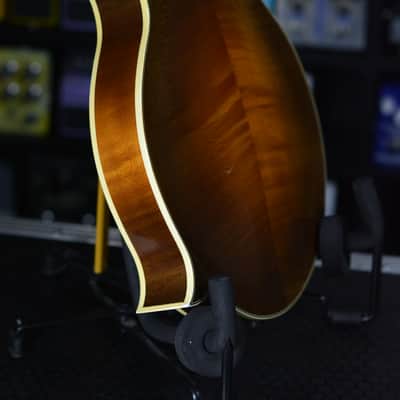 Lebeda F4 Standard Mandolin 2004 image 14