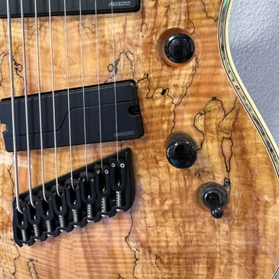B.C. Rich Shredzilla Extreme 8 Exotic Electric Guitar, Spalted Maple, BRAND NEW!!! With BC Rich Gig! image 3