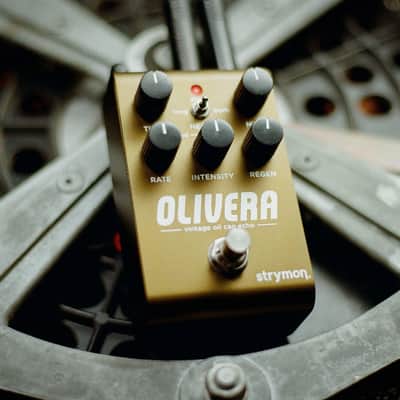 Strymon Olivera Vintage Oil Can Echo 2025 - Present - Olive image 4
