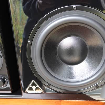 Trident Audio HG3 Monitors 2015 image 6