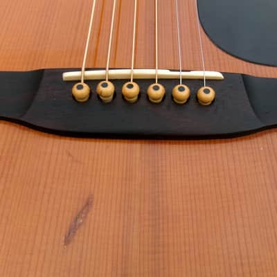 Takamine Elite TW60  Brazilian Rosewood '70 Natural+Hard Case image 20