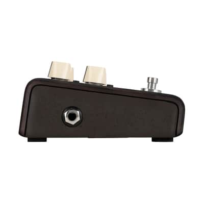 LR Baggs Align Series Delay Acoustic Pedal Bundle w/ 12x Picks and Liquid Audio Polishing Cloth image 5