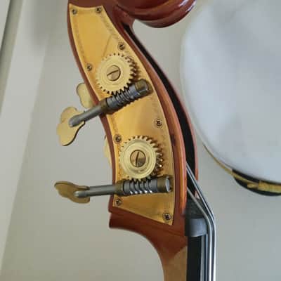 Immagine Strobel MB80C 2018 - 3