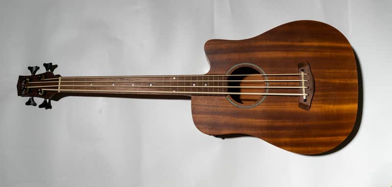 Gold Tone M-Bass23/FL Acoustic-Electric Fretless Bass Guitar image 1