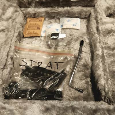 Westfield Stratocaster with David Gilmour Pickguard and Genuine Fender Hard Case image 10