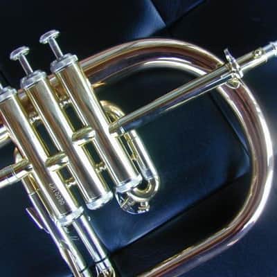 Berkeleywind Bb Rose Brass Flugelhorn ( Vertical Valves ) image 2