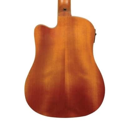 Gold Tone M-BASS Micro Bass 36" Electric Acoustic Bass Guitar with Gig Bag image 5