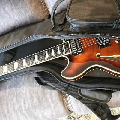 D'Angelico Premier DC Mini 2025 - Brown Burst (+ extras) image 22