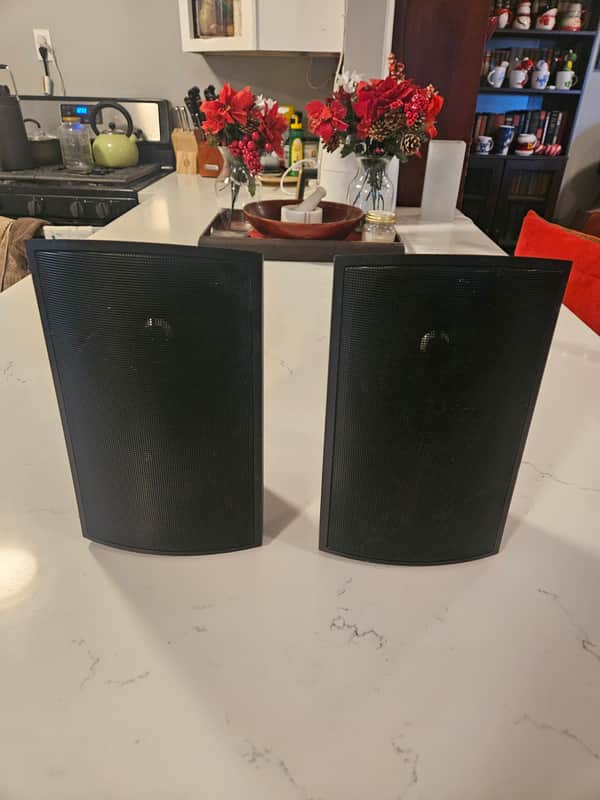 Definitive Technology AW-111 Outdoor Speakers. Passive All-weather Outdoor (Black, Pair), Two-Way, 5.25" Woofer, 1" Tweeter image 1