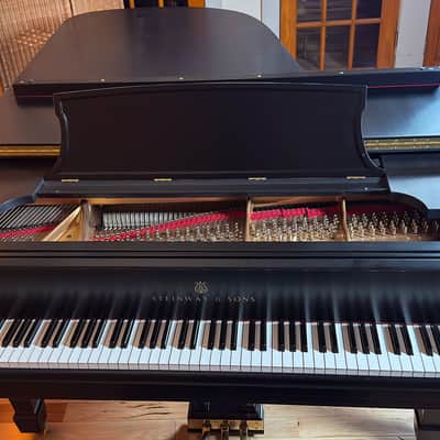 Steinway & Sons B 1959 - Ebony Satin #362672 Bild 14