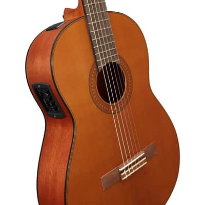 Yamaha CGX122MC image 3
