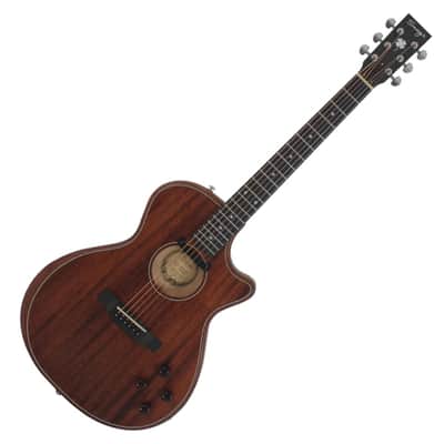 Swing Hybrid-M All Solid Electric Acoustic Slim Guitar Piezo Magnetic Pickup image 1