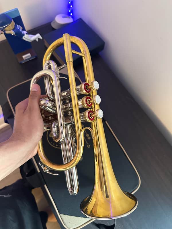 Bb Cornet – Gold/Silver Finish – Complete with Hardcase & Mouthpiece image 1