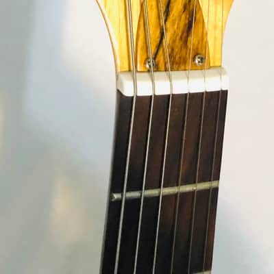 Turtle Shell Electric Guitar image 11