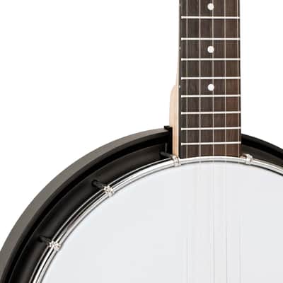 Gold Tone AC-5: Acoustic Composite 5-String Banjo w/Gig Bag image 4