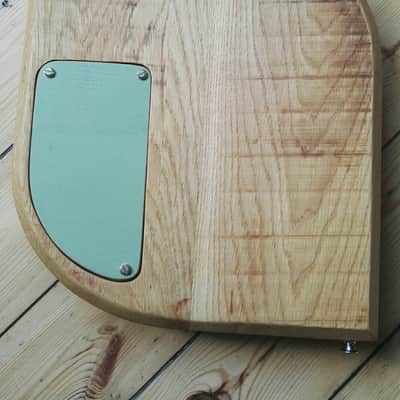 Douglas Electrified Oddity No.03. Semi-fretless Electric. image 8