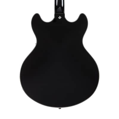 D'Angelico Premier DC w/ Gig Bag , Gtr Stand, Strap, Cable And Xtra Strings!2026 - Black Flake image 5