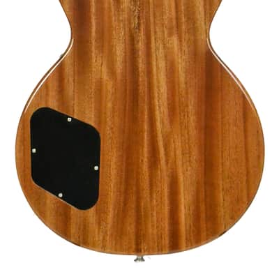 Gibson Les Paul Standard 60s DT image 2