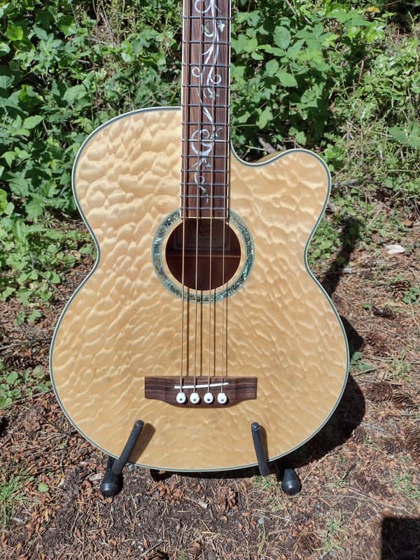 Michael Kelly Dragonfly 4 acoustic bass image 1