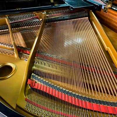 Samick SG -150C sweet 4'11'' baby grand piano image 6