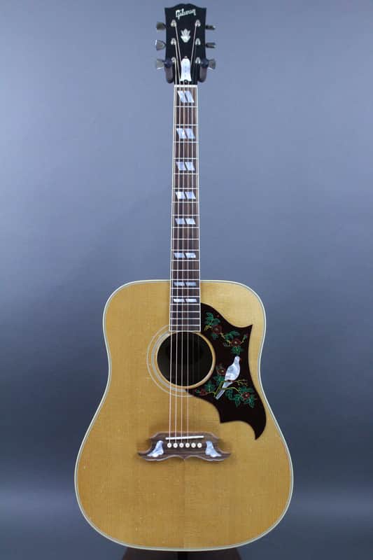 Gibson Dove