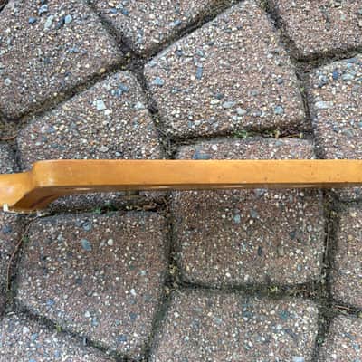 1968 Fender Telecaster Bass Neck Maple image 15