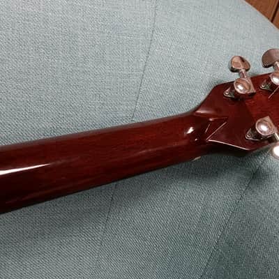 Washburn D14N Acoustic Guitar with Spruce Top & Rosewood Back and Sides (Washburn D-14N Model) 1988 image 9