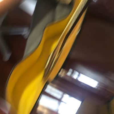 Takamine EG 230 A/E guitar with hardcase Dreadnaught image 8