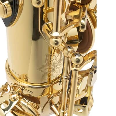 Selmer Paris 52 Axos Professional Alto Saxophone image 5