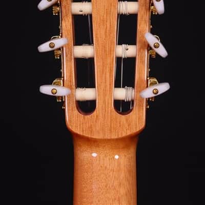 Cordoba C5 with Spruce Top image 10
