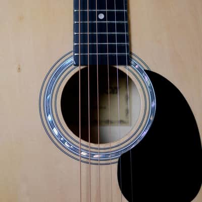 Elevation Acoustic Guitar - W-100-N-A image 8