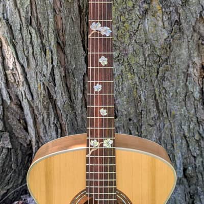 Van Gundy Customs The Spring Falcate Braced Acoustic Guitar image 6
