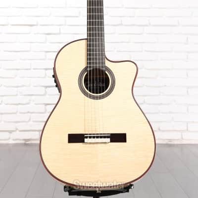 Cordoba Fusion 12 Exotic Top Nylon-string Acoustic-electric Guitar - White Sands (Fus12ExWSd1) image 1