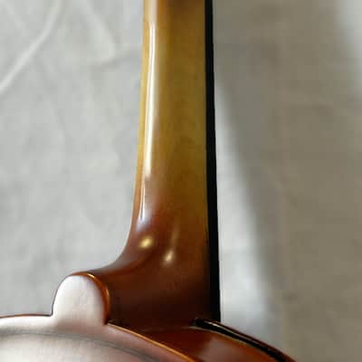 SofiaMari 310E 16 Viola image 23